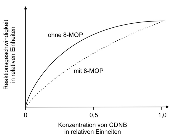 Diagramm: Reaktionsgeschwindigkeit gegen CDNB-Konzentration, zwei Kurven; ohne 8‑MOP höher als mit 8‑MOP.